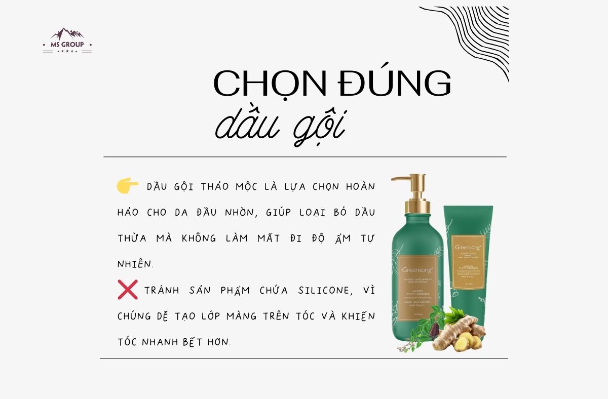 Bí Quyết Giảm Bết Tóc Giúp Da Đầu Nhờn Luôn Tươi Mới