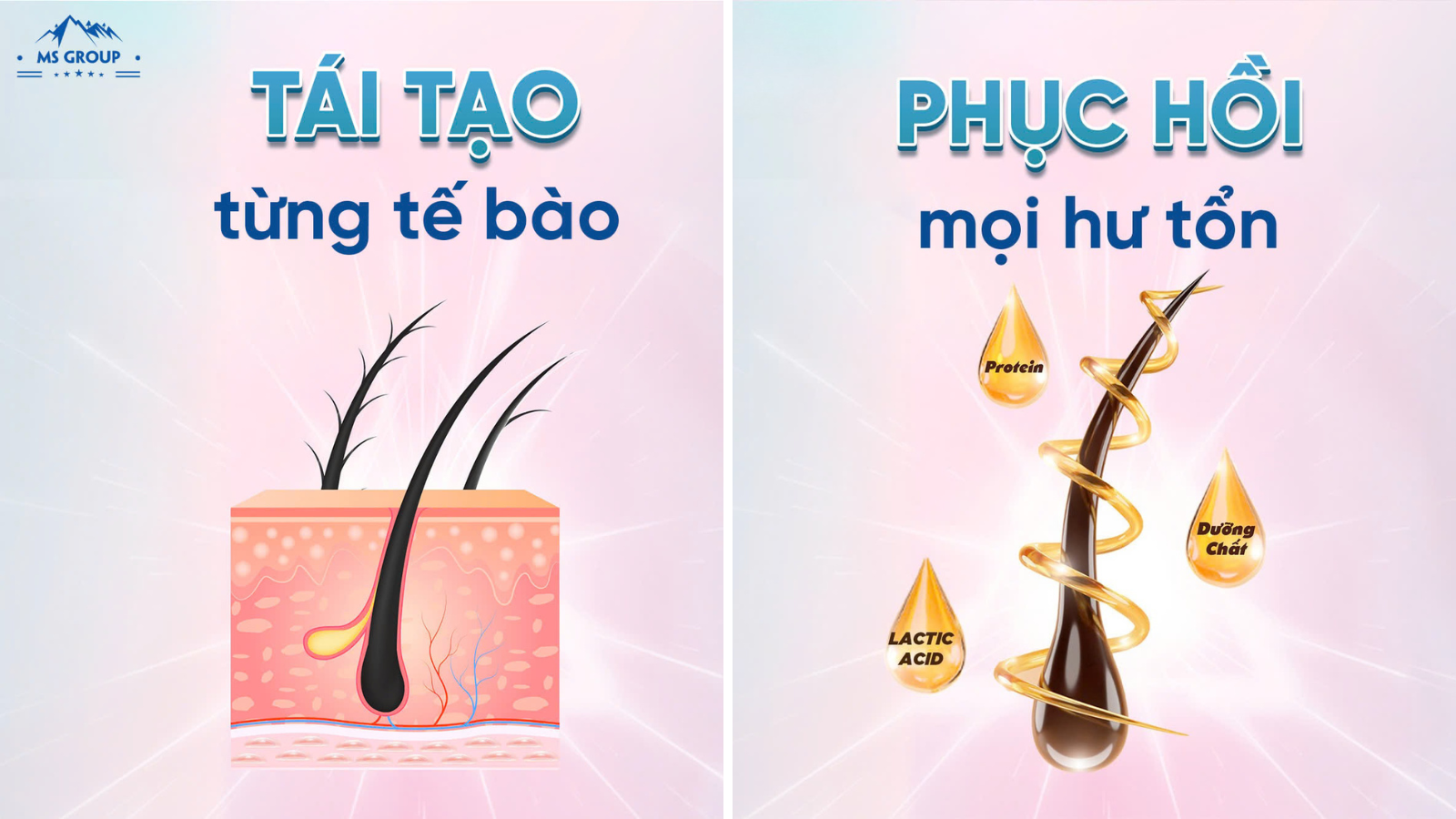 Cong-thuc-cham-soc-toc-phuc-hoi-hu-ton-tu-sau-ben-trong